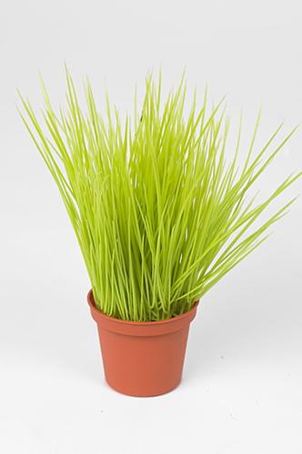 Gräs - Grön - 20 cm - www.frokenfraken.se