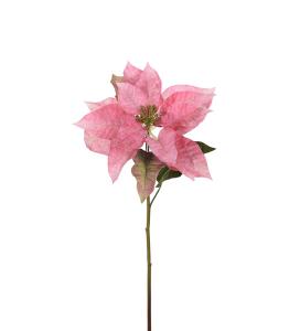 Julstjärna - Rosa - 70 cm - www.frokenfraken.se