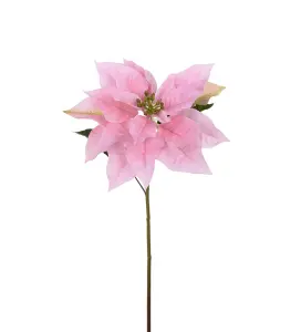 Julstjärna - Rosa - 70 cm - www.frokenfraken.se