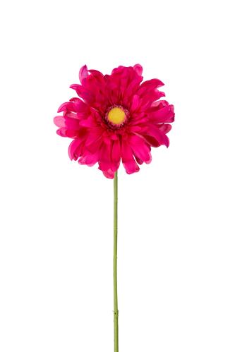 Gerbera - Rosa - 80 cm - www.frokenfraken.se