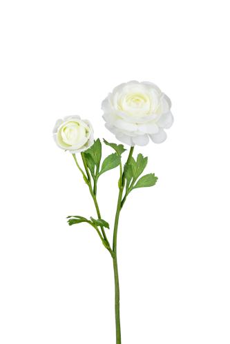 Ranuncel - Vit - 45 cm - www.frokenfraken.se