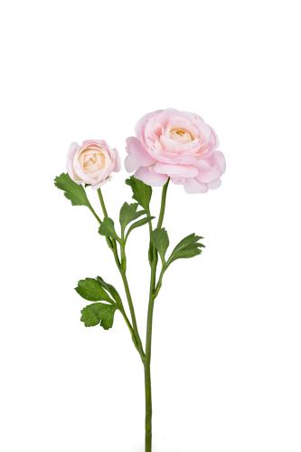 Ranuncel - Rosa - 45 cm - www.frokenfraken.se