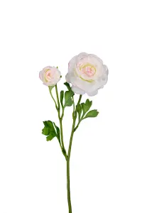 Ranuncel - Rosa - 45 cm - www.frokenfraken.se