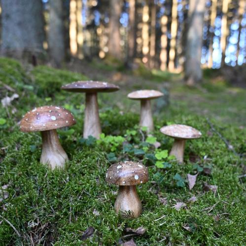 Flugsvamp - Trä Brun - 12 x 9 cm - www.frokenfraken.se