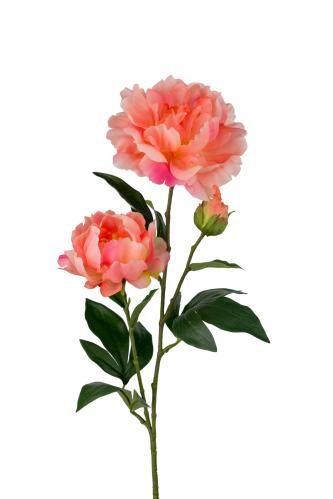 Pion - Orange - 75 cm - www.frokenfraken.se