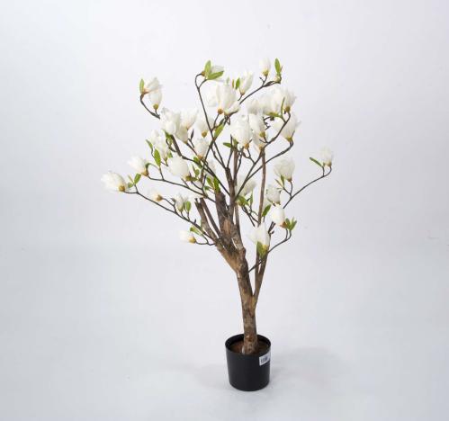 Magnoliaträd - Vit - 80 cm - www.frokenfraken.se