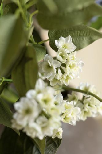 Bukett - Hortensia/Lavendel/Blomkvist - www.frokenfraken.se