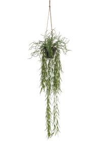 Rhipsalis - Grön - 80 cm - www.frokenfraken.se