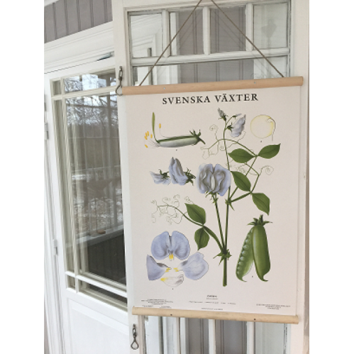Posterhängare - Svartbets - till A4 - 32 x 45 cm - www.frokenfraken.se