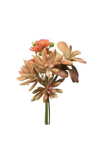 Succulent bukett - Orange - 18 cm - www.frokenfraken.se