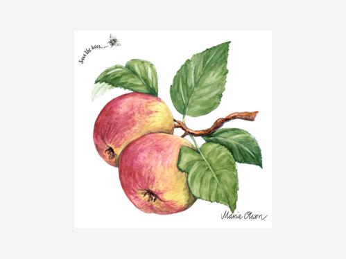 Servett - Äpple - 33 x 33 cm - www.frokenfraken.se