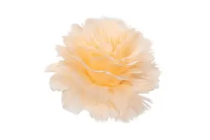 Fjäder - Fjäderblomma på clip - Aprikos - 1st - Ø11 cm - www.frokenfraken.se