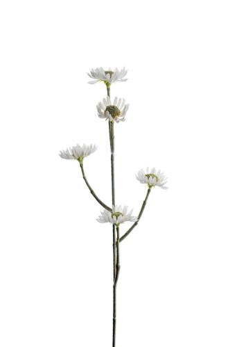 Eternell - Vit - 50 cm - www.frokenfraken.se