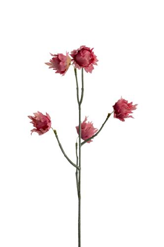 Eternell - Rosa - 55 cm - www.frokenfraken.se