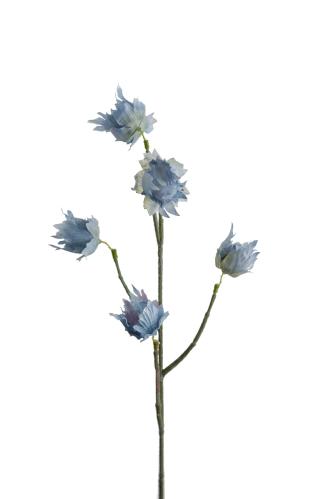 Eternell - Blå - 55 cm - www.frokenfraken.se