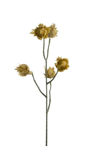 Eternell - Grön - 55 cm - www.frokenfraken.se