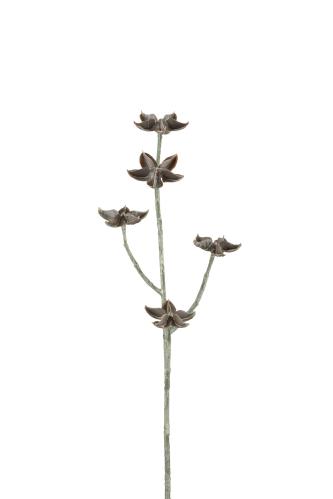 Eternell - Brun - 50 cm - www.frokenfraken.se