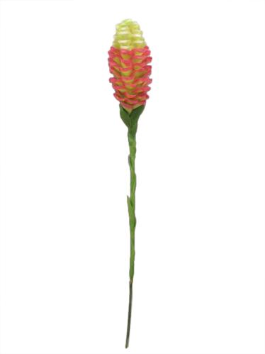 Protea - Rosa - 85 cm - www.frokenfraken.se