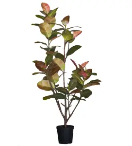 Fikus Elastica - Grön - 180 cm - www.frokenfraken.se