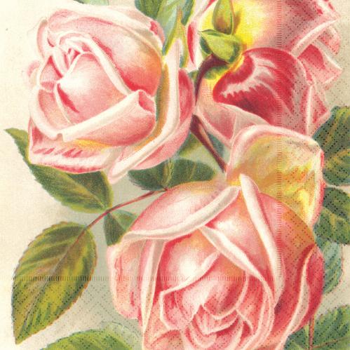 Servett - Rosor - rosa - 33 x 33 cm - www.frokenfraken.se