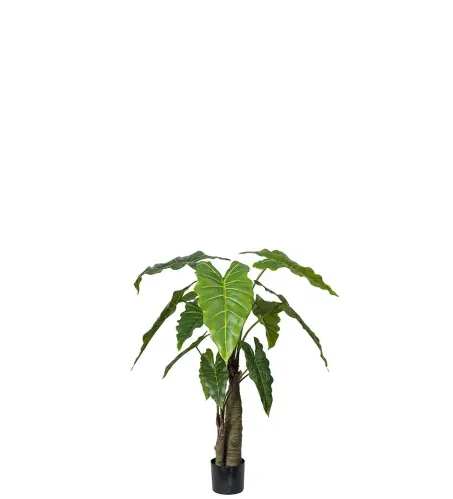 Alocasia - Grön - 120 cm - www.frokenfraken.se