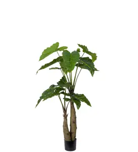 Alocasia - Grön - 150 cm - www.frokenfraken.se
