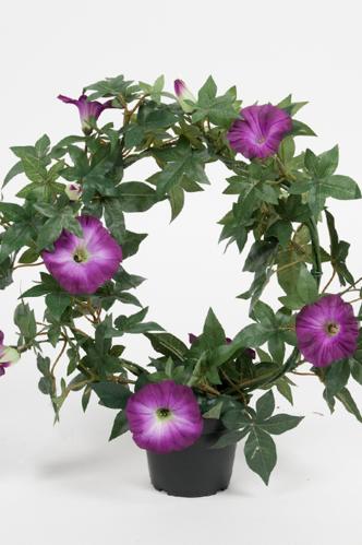 Blomma för dagen - Lila - 35 cm - www.frokenfraken.se