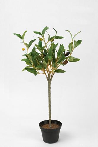 Olivträd - Grön - 40 cm - www.frokenfraken.se