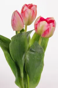 Tulpaner - 3-pack - Rosa - 36 cm - www.frokenfraken.se