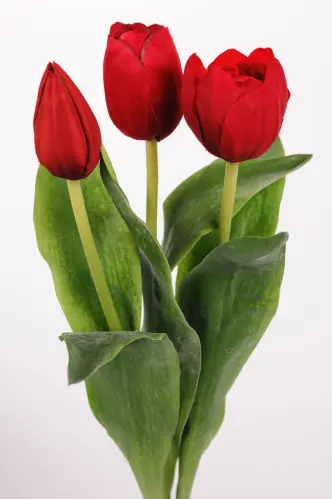 Tulpaner - 3-pack - Röd - 36 cm - www.frokenfraken.se
