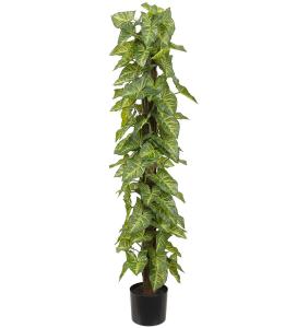 Gåsfot - Grön - 120 cm - www.frokenfraken.se