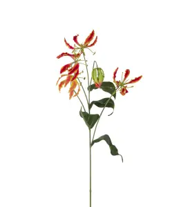 Gloriosa - Orange - 100 cm - www.frokenfraken.se
