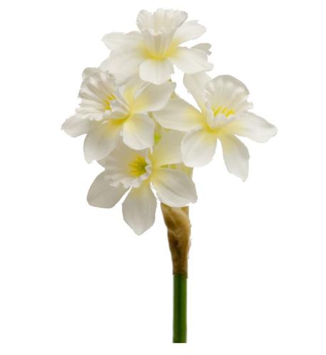 Narciss - Vit - 25 cm - www.frokenfraken.se