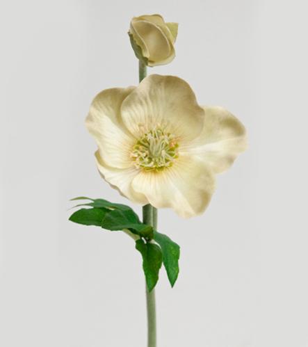 Julros - Grön - 36 cm - www.frokenfraken.se