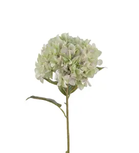Hortensia - Lime - 110 cm - www.frokenfraken.se