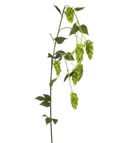 Humle - Grön - 125 cm - www.frokenfraken.se