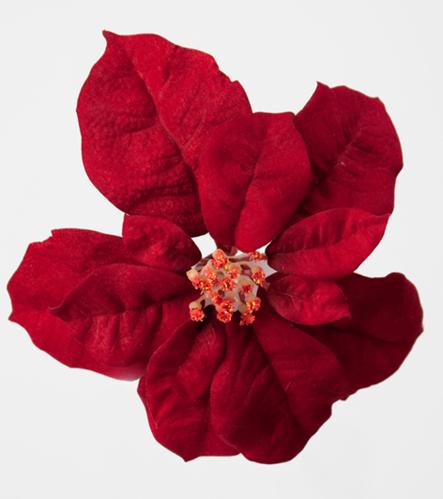 Julstjärna blomma - djupröd - med clip - www.frokenfraken.se