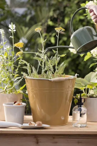 Sprayflaska med svart topp - Gammaldags - 300 ml - www.frokenfraken.se