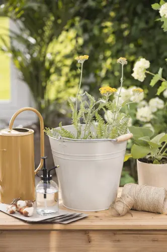 Sprayflaska med svart topp - Gammaldags - 300 ml - www.frokenfraken.se