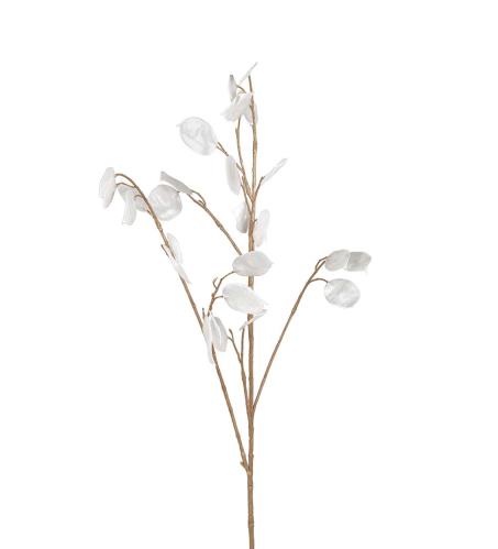 Lunaria - Vit - 90 cm - www.frokenfraken.se