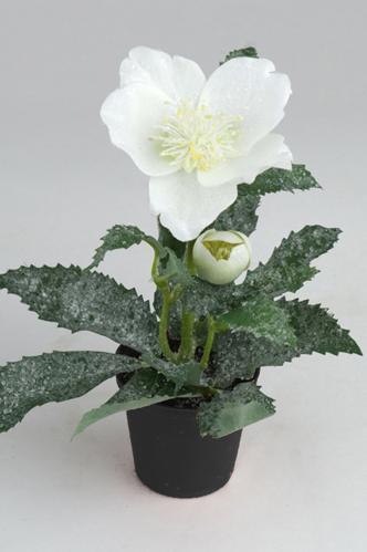 Julros med is - Vit - 19 cm - www.frokenfraken.se