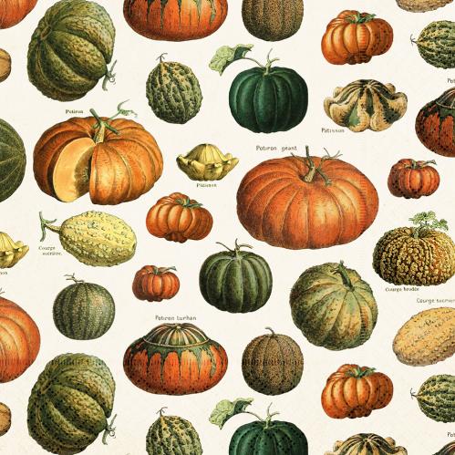 Servett - Pumpa - 33 x 33 cm - www.frokenfraken.se