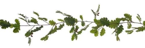 Girlang - Eklöv - Grön - 180 cm - www.frokenfraken.se