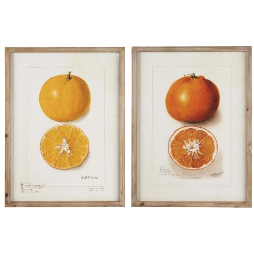 Tavlor i träram - 2 st - Citrus - 45 x 60 cm - www.frokenfraken.se