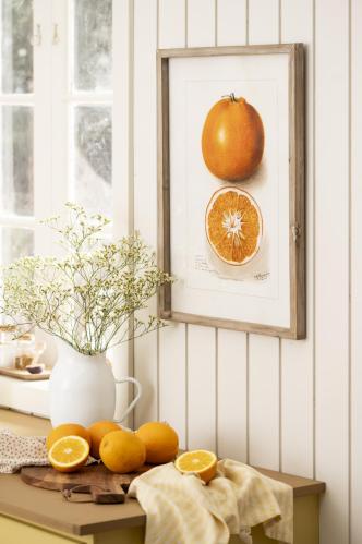 Tavlor i träram - 2 st - Citrus - 45 x 60 cm - www.frokenfraken.se