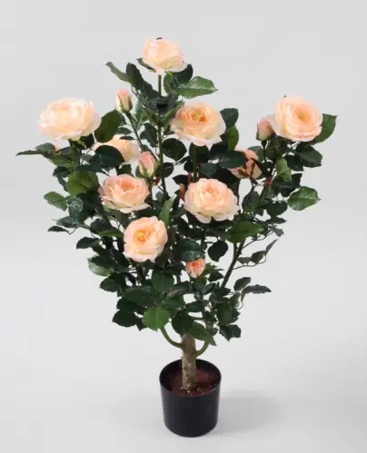 Rosenträd - Rosa - 86 cm - www.frokenfraken.se