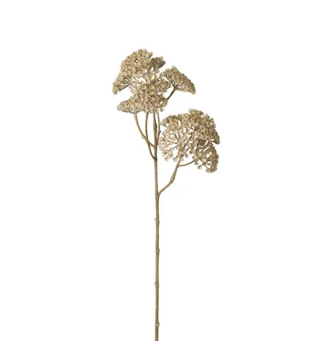 Röllika - Beige - 50 cm - www.frokenfraken.se