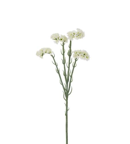 Statice - Vit - 60 cm - www.frokenfraken.se