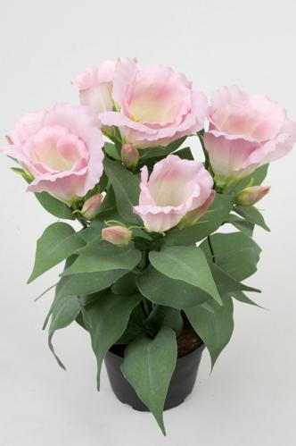 Prärieklocka - Rosa - 30 cm - www.frokenfraken.se