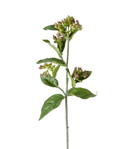 Viburnum - Lila - 45 cm - www.frokenfraken.se